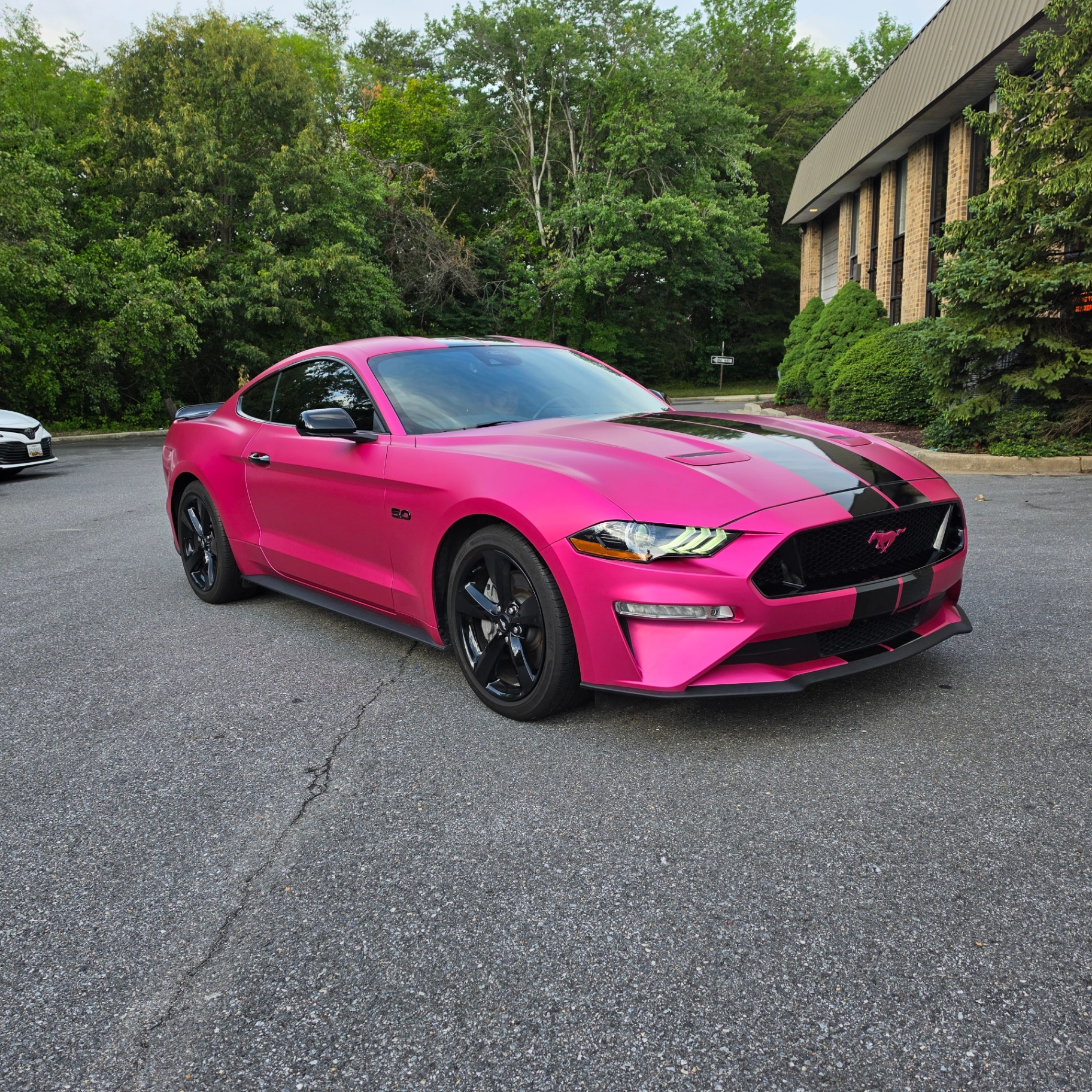 Satin Pink Mustang GT, Color-Change by OG Graphics in Crofton, MD